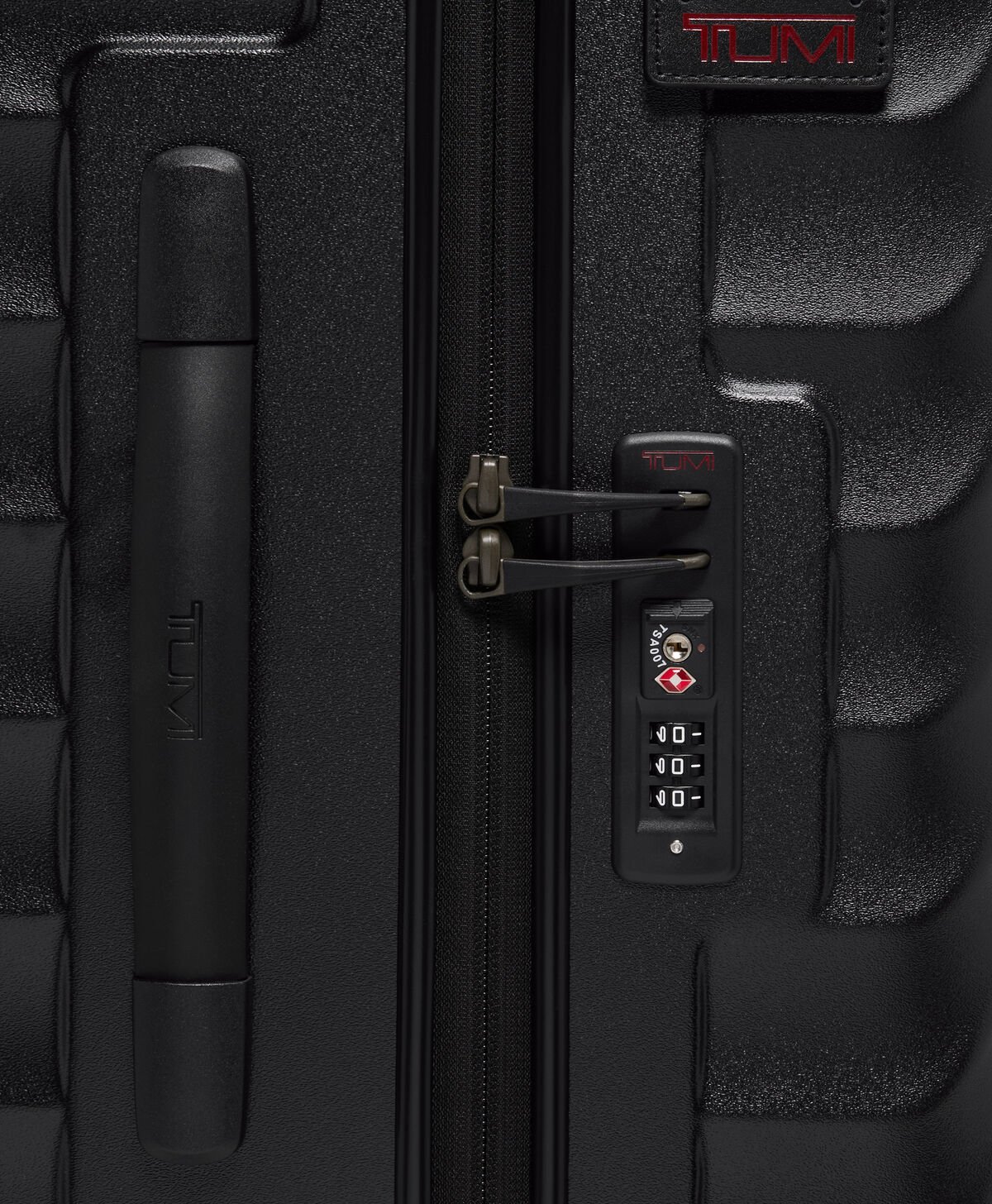 19 Degree Trunk - large