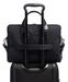 Sycamore Slim Brief Harrison