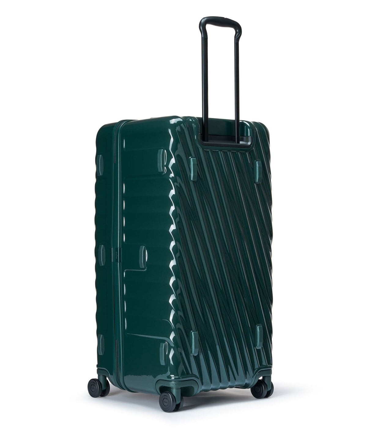 19 Degree Trunk - large
