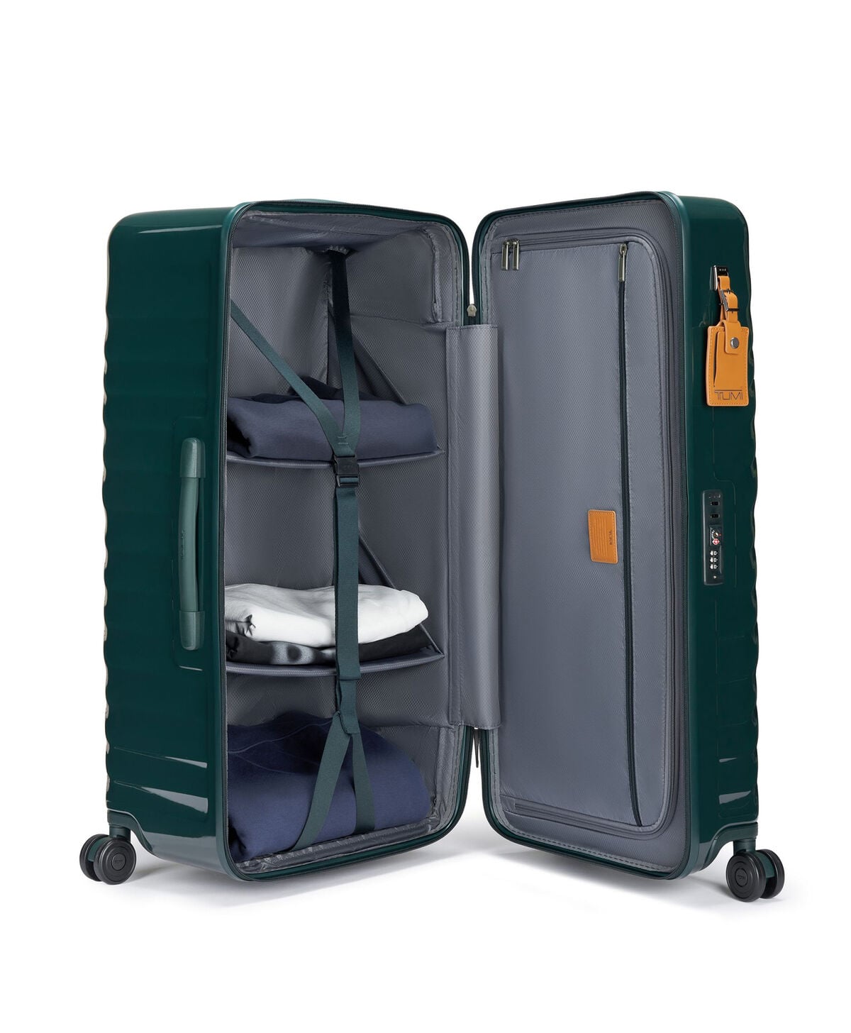 19 Degree Trunk - large